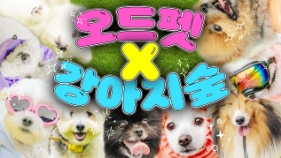 포트폴리오09